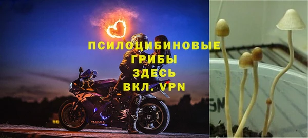 молекула духа Аркадак