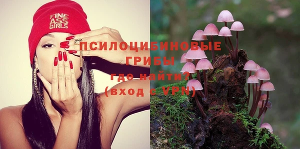 молекула духа Аркадак