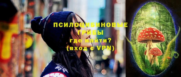 молекула духа Аркадак