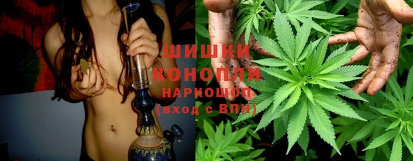 молекула духа Аркадак