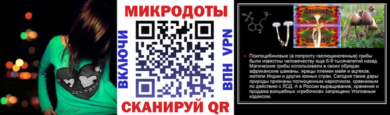 Псилоцибиновые грибы Psilocybe  Белебей 