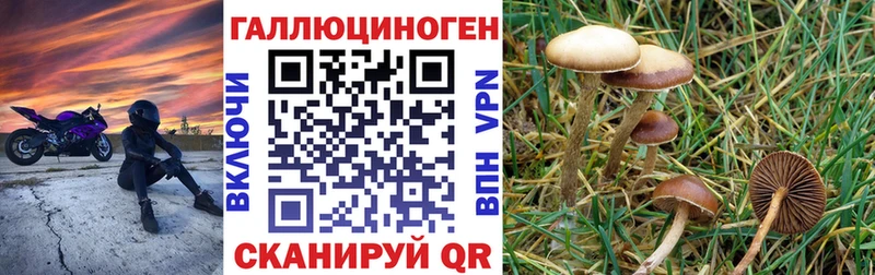 Галлюциногенные грибы мухоморы Белебей